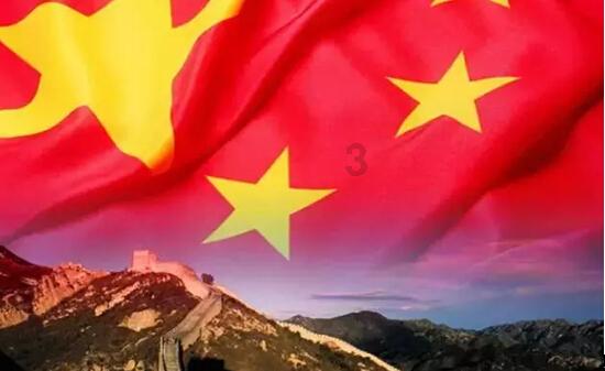 可爱小猫向上跳